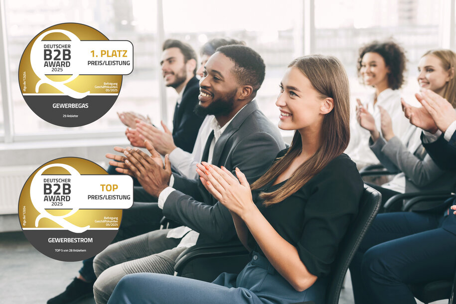 Die Siegel des Deutschen B2B-Awards für MONTANA Gewerbegas und Gewerbestrom vor einem applaudierenden Business-Team