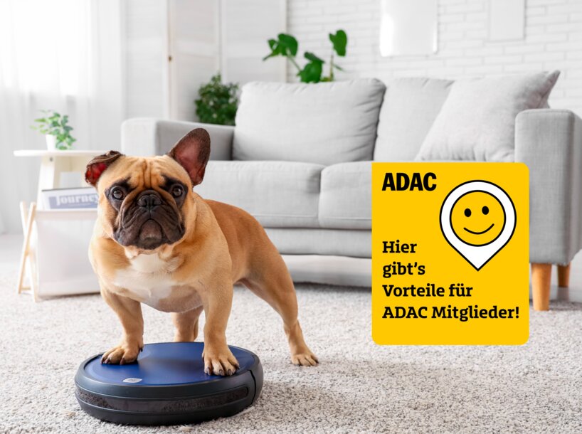 Französische Bulldogge steht auf einem Saugroboter in einem hellen Wohnzimmer; rechts daneben ein gelbes ADAC-Hinweisschild mit Text „Hier gibt’s Vorteile für ADAC Mitglieder!“