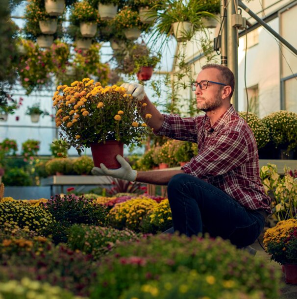 Ein Gärtner bei der Arbeit zwischen blühenden Pflanzen – Symbolbild für Effizienz und Qualität durch MONTANA Premium-Heizöl M-ecotec