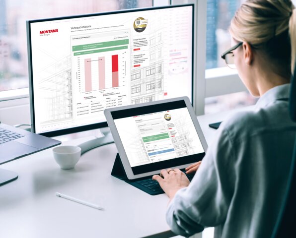 Hausverwalterin prüft Abrechnungsdaten und Diagramme am Computer – Tipps zur Jahresabrechnung und Energiekostenumlage