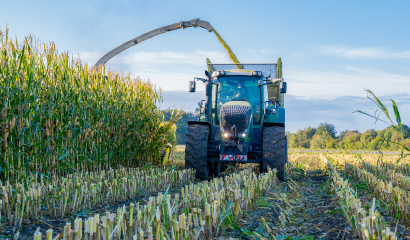 Traktor bei der Ernte auf einem Feld – Stärkung der regionalen Landwirtschaft
