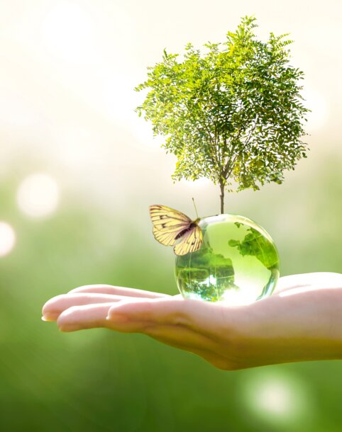 Eine Hand hält eine gläserne Erdkugel mit einem wachsenden Baum und einem Schmetterling – Symbol für MONTANAs Erdgas Klima mit finanziellem Klimaschutzbeitrag