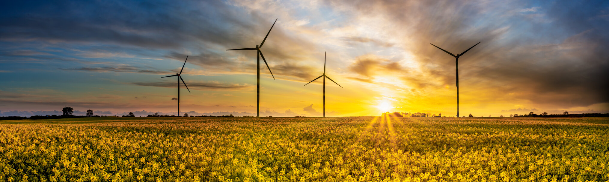 Windräder in einem blühenden Rapsfeld im Sonnenuntergang – MONTANAs Engagement für ökologische Verantwortung und Klimaschutz