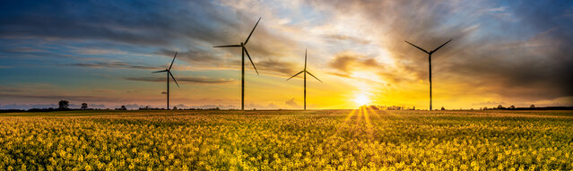 Windräder in einem blühenden Rapsfeld im Sonnenuntergang – MONTANAs Engagement für ökologische Verantwortung und Klimaschutz
