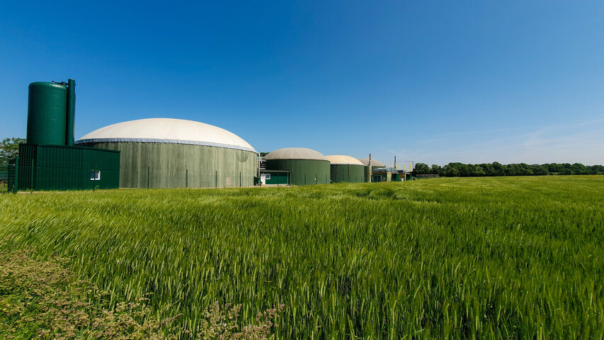 Biogasanlage mit großen Tanks hinter einem grünen Feld – Gewinnung von Biogas aus nachwachsenden Rohstoffen