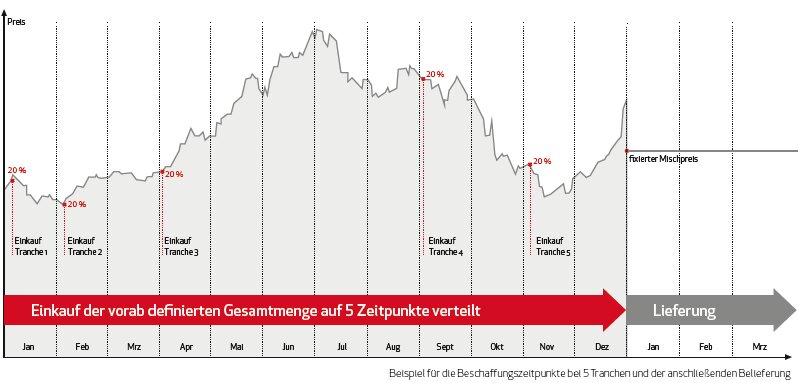 Infografik zum MONTANA Business tranche Modell – Darstellung der Risikominimierung beim Erdgasbezug durch die Aufteilung des Jahresbedarfs in fünf Kauftranchen