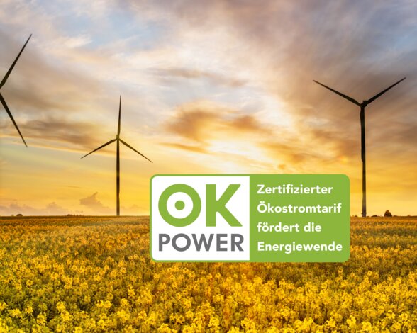 Windkraftanlagen im Rapsfeld mit ok-power-Siegel – Zertifizierter Ökostrom