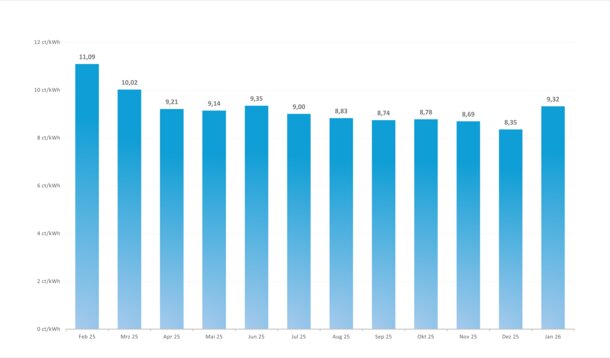 Balkendiagramm zur monatlichen Entwicklung des Erdgas-Bruttoarbeitspreises – Preisbeispiel für eine Lieferstelle in München mit Darstellung des Durchschnittswerts