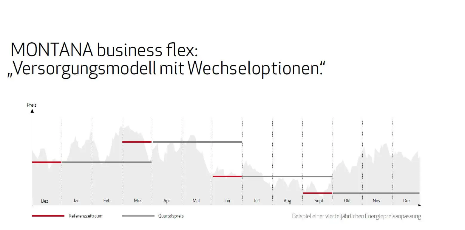 MONTANA business flex Versorgungsmodell 