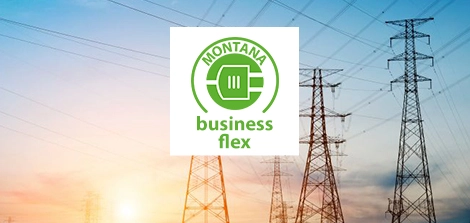 MONTANA business flex