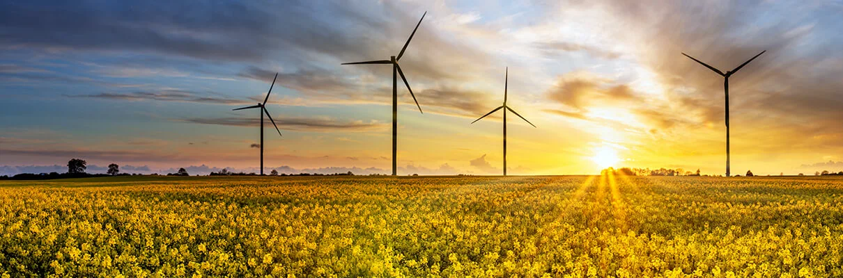 MONTANA Energie