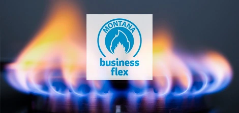 MONTANA business flex