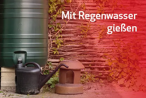 Garten mit Regenwasser bewässern