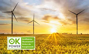 MONTANA Ökostrom erhält ok-power-Label