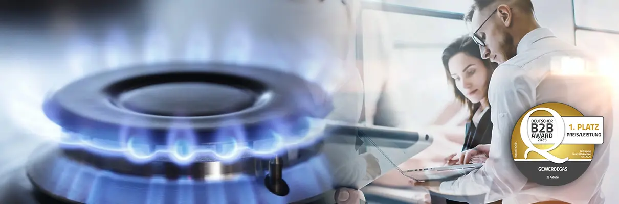 MONTANA Energie