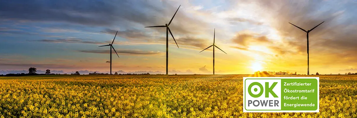 MONTANA Energie