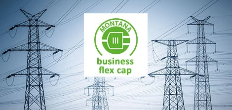 MONTANA business flex cap