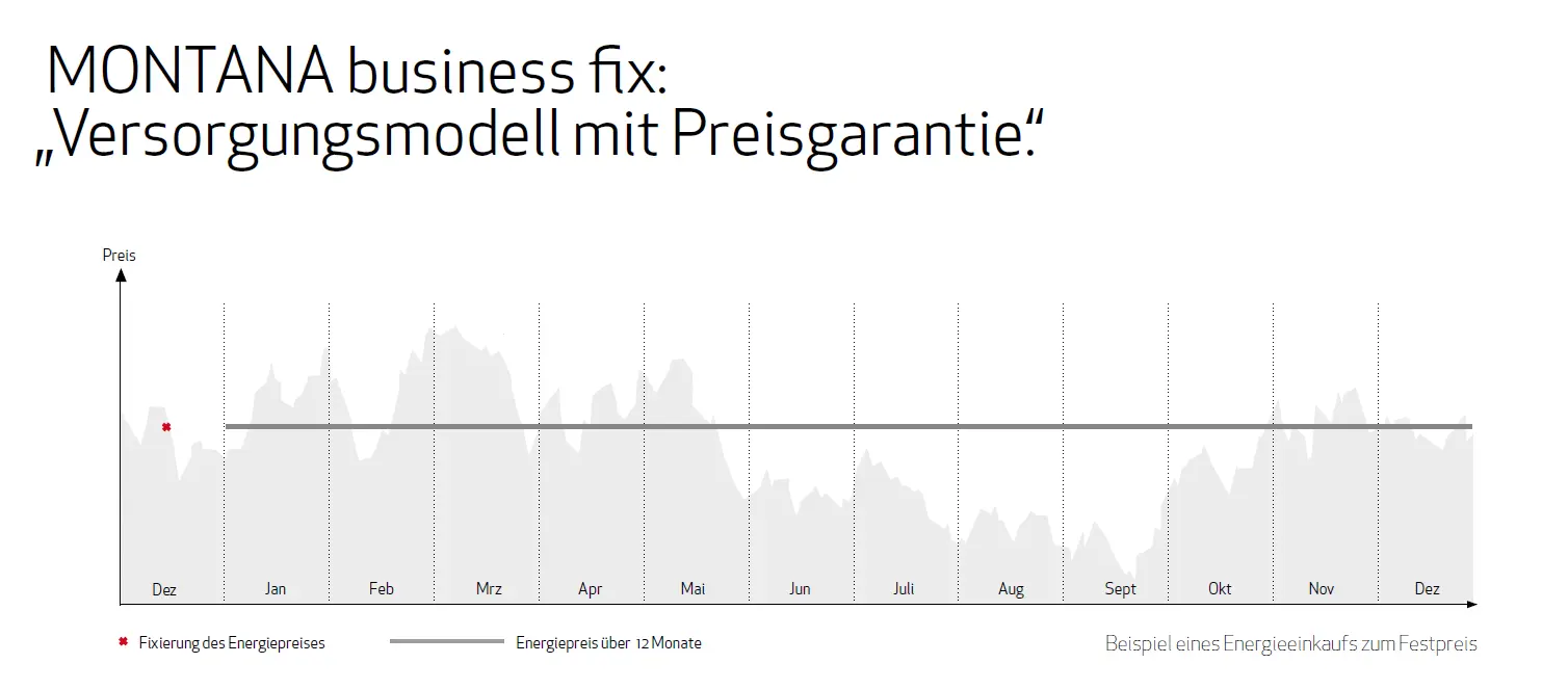 MONTANA business fix Versorgungsmodell